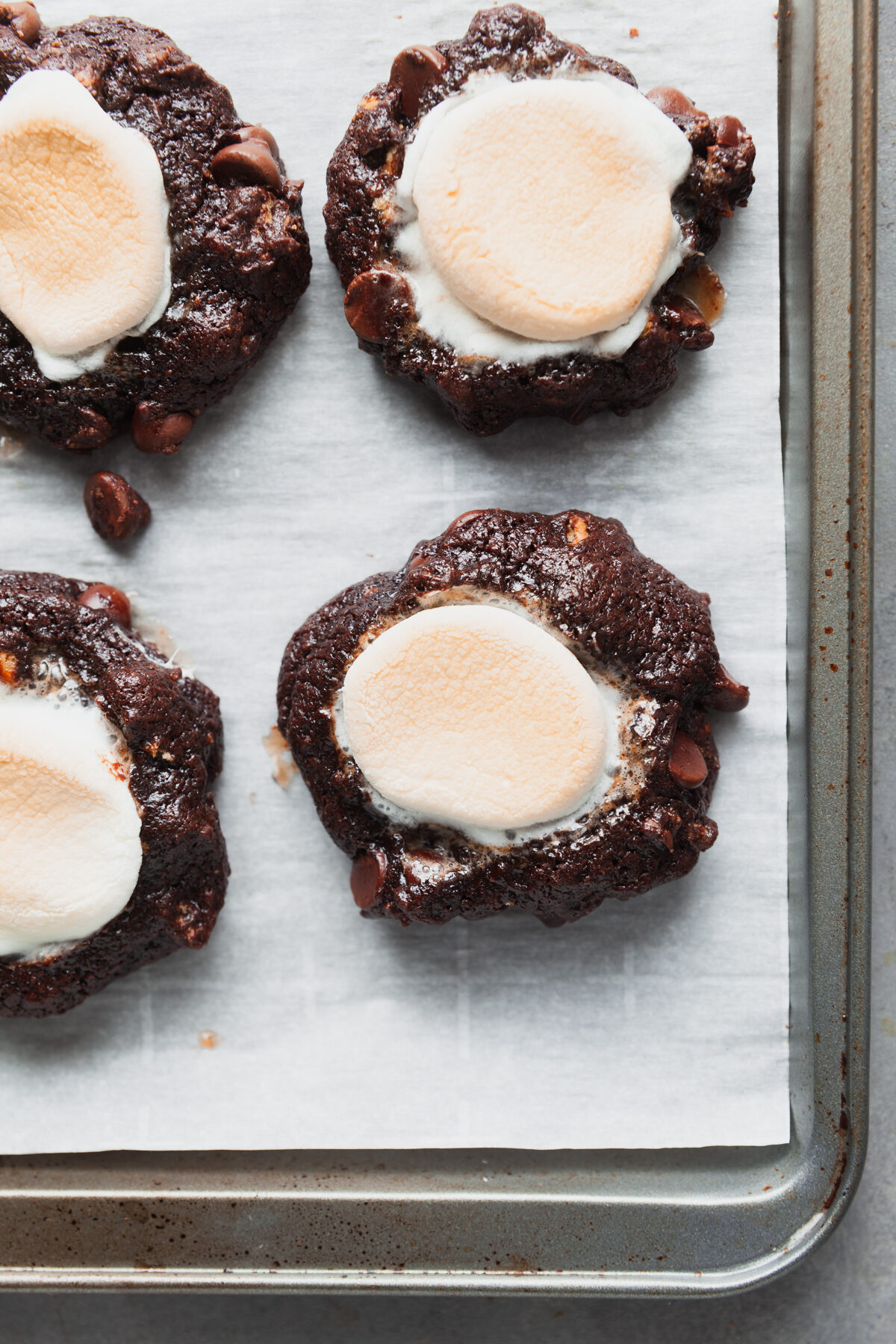 Overhead view of chocolate marshmallow cookies hot from the oven - the marshmallows are lightly browned and toasted. 