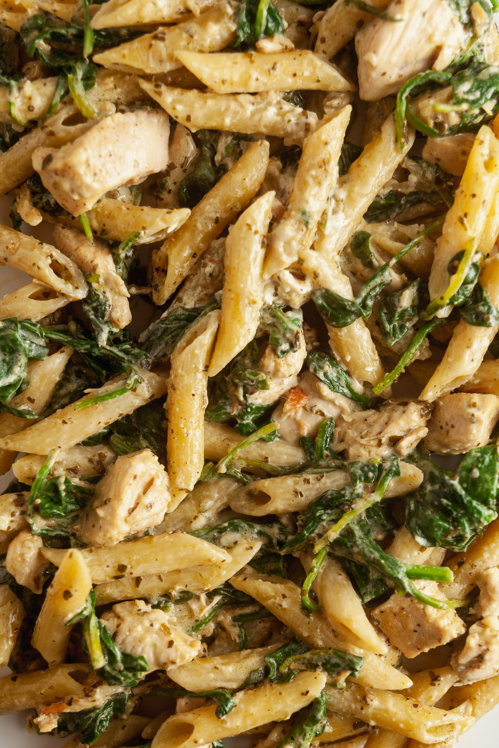 Extreme closeup view of one pot chicken pesto pasta. 